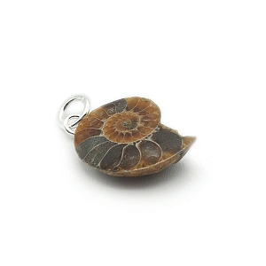 Sterling Silver and Ammonite Fossil ...