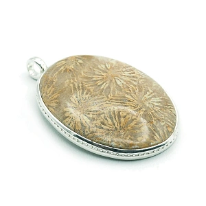 Sterling Silver 925 and Fossilized ...