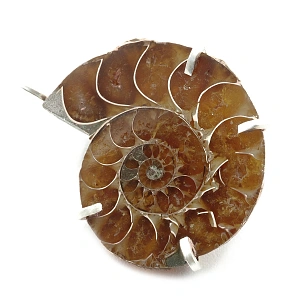 Ammonite Fossil and Silver 925 ...